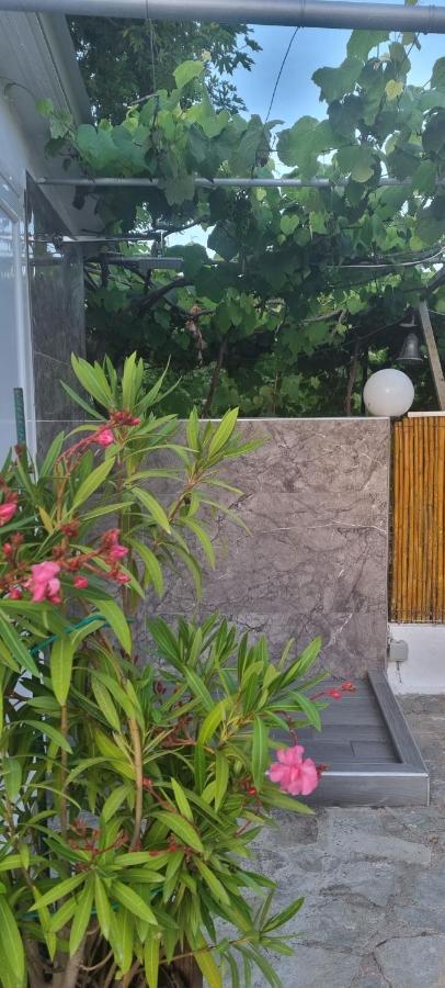 Anna Christina Apartments Metamorfosi  Ngoại thất bức ảnh